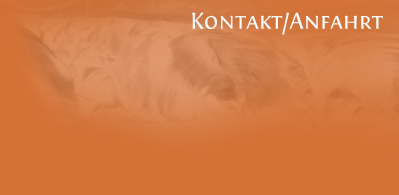 Kontakt